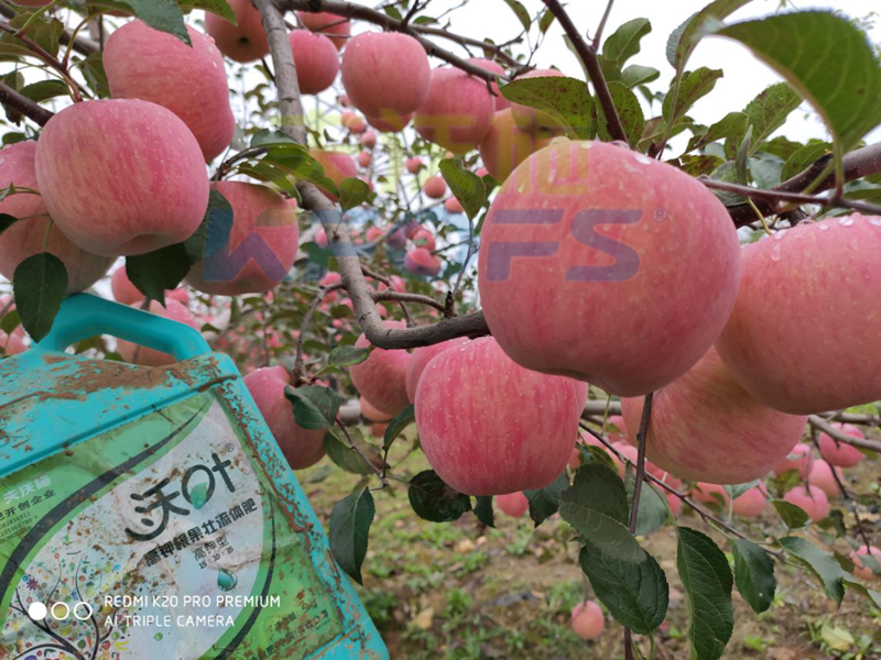 沖施肥價(jià)格高低對(duì)作物產(chǎn)值有影響嗎？